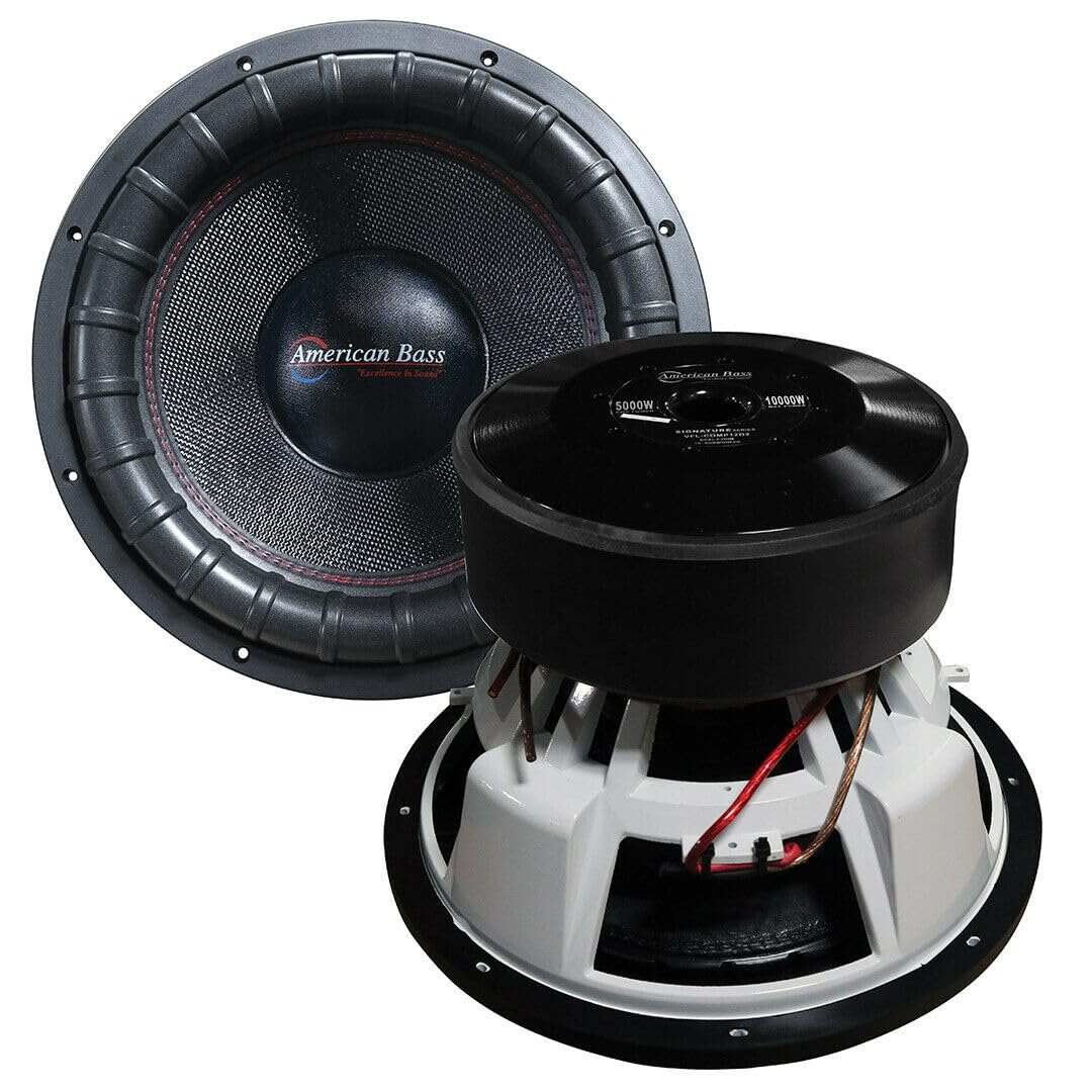 AB SIGNATURE 12"DVC 2 OHM 11000 WATTS
